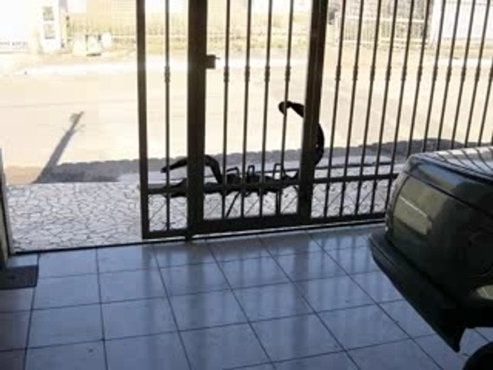 Escorpion