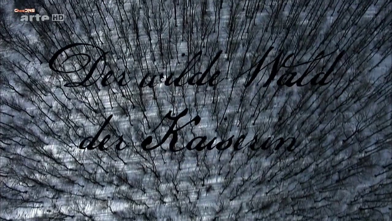 Der wilde Wald der Kaiserin