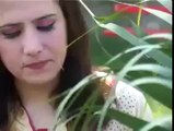 Pashto New Song 2013 - Dr Laila Khan - Margeya Sabar Oka War Oka Lame Zwaani Da Intezaar Oka