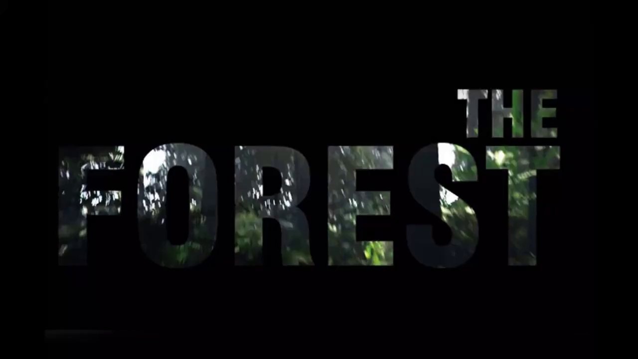 The Forest #001 - Der Absturz