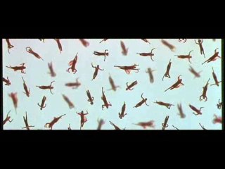 AYTIWS Reviews Tomorrow Never Dies