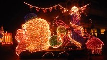 Disney World Electrical Parade Orlando, FL (06/02/14)