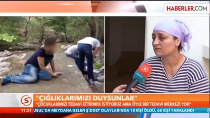 Ölüm Saçan Bonzai Peynir Ekmek Gibi Satılıyor