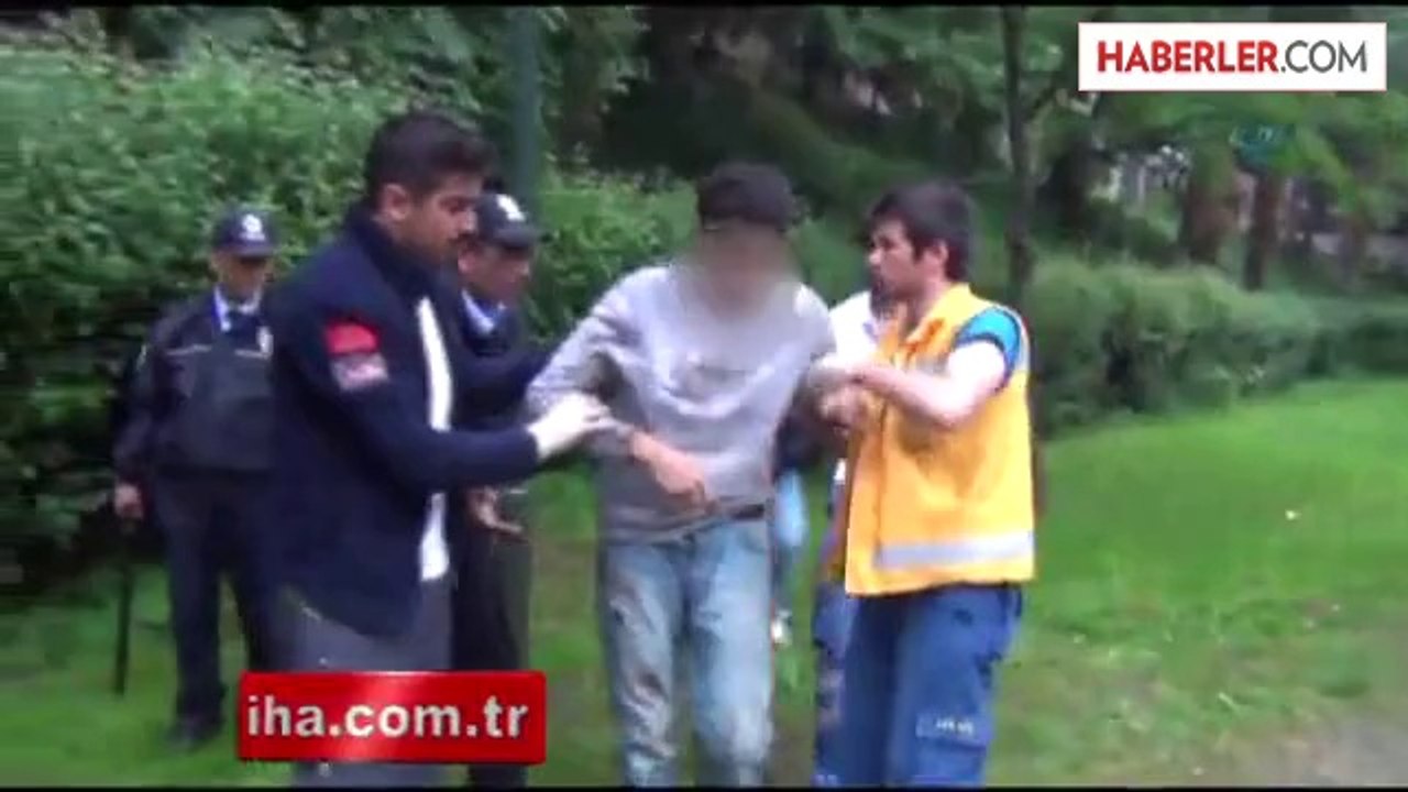 Bonzai, Peynir Ekmek Gibi Satılıyor