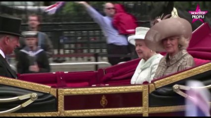 Stéphane Bern : sa rencontre mémorable avec Elizabeth II (vidéo)