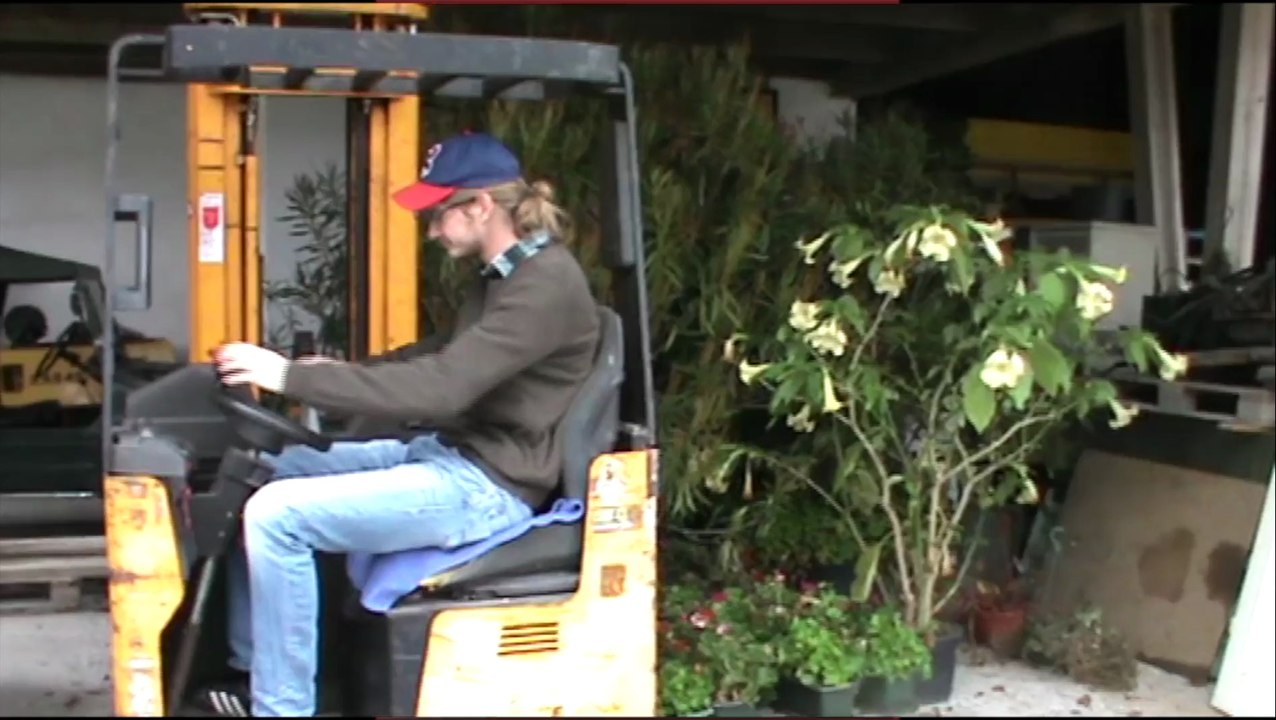 Goldsoundz - The New Ones?