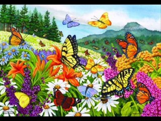 YAĞMUR;  SAMİ ASLAN