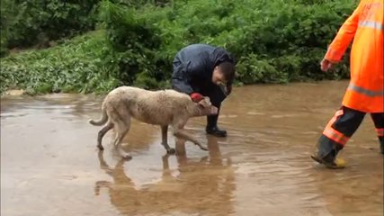 KAHRAMAN İTFAİYECİLER