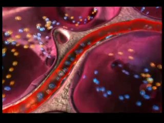 Bedenimizde her an her saniye yaşanan mucizeler