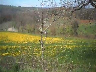 rallyes terre des causses 2014 cédric hennion