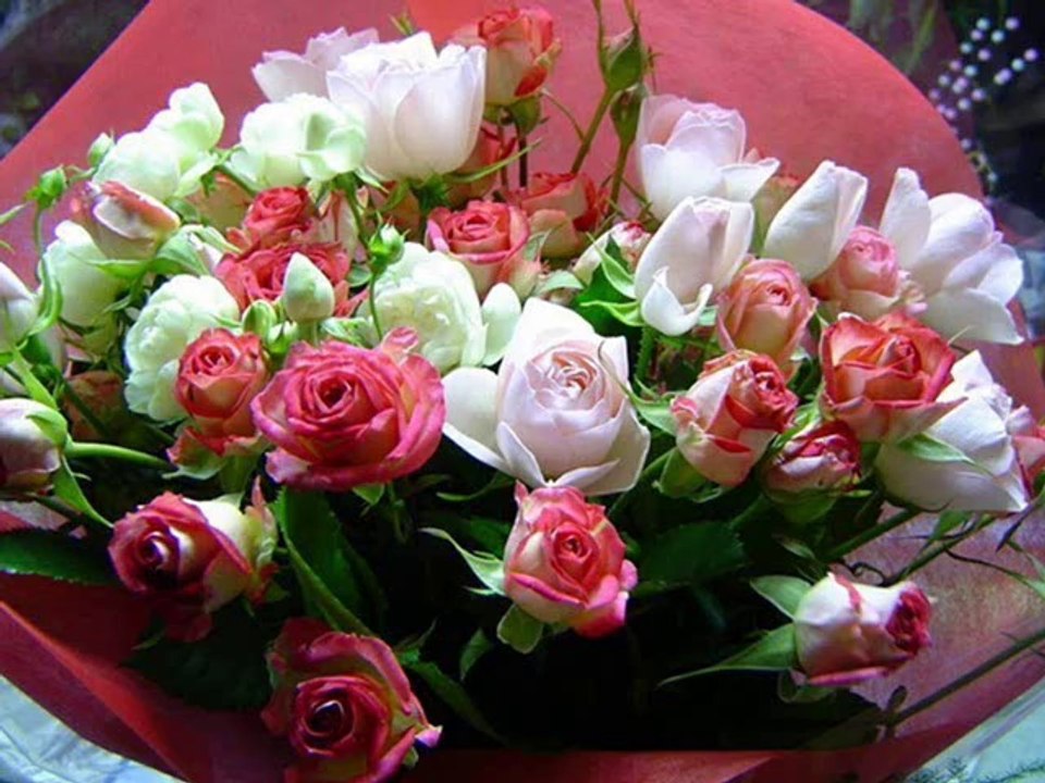 Feliz Cumpleaños by Rosa Viragh Lima