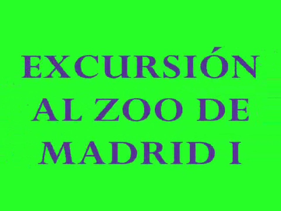 ZOO I