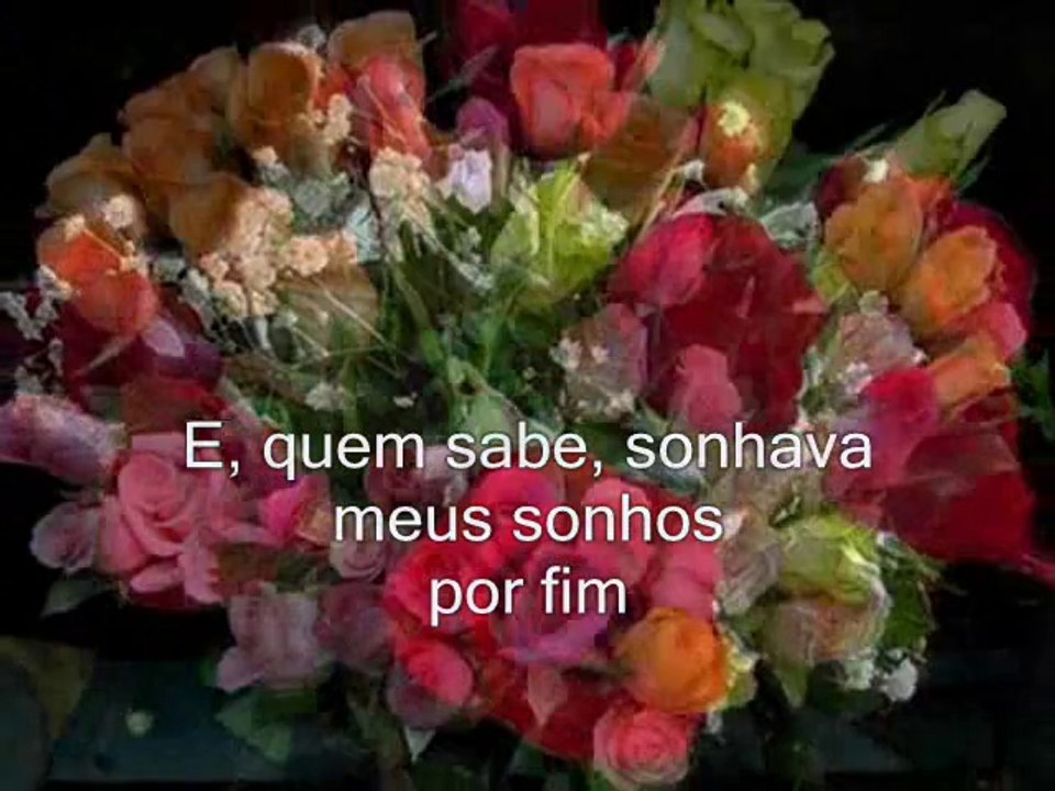As rosas não falam by Rosa Viragh Lima
