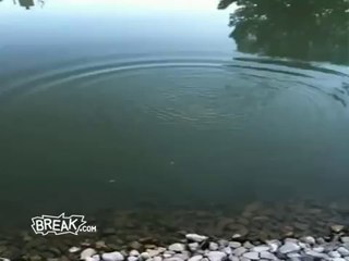 Fishing with Dynamite