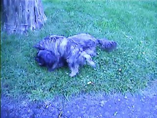 Chanel et Jaudy à 19h ce soir