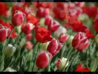 Çoşkun Sabah •♥•SEN BAMBAŞKASIN•♥•