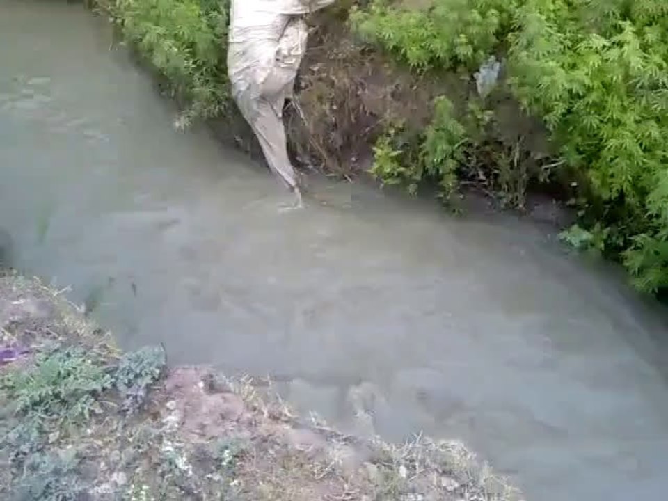 A Very Interesting Jump