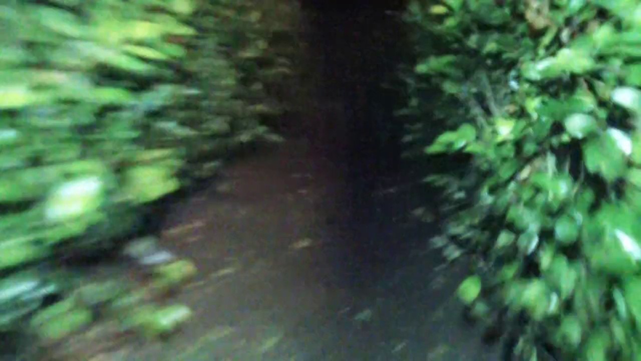 Dark Lifes, cortometraje de terror, Horror short film.