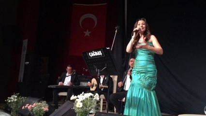 Sanat müziği konseri