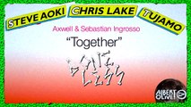 Steve Aoki, Chris Lake & Tujamo vs Axwell & Sebastian Ingrosso - Together Boneless (Albert Olive Mashup)
