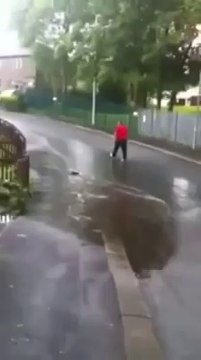 Bu kadar da olmaz ki