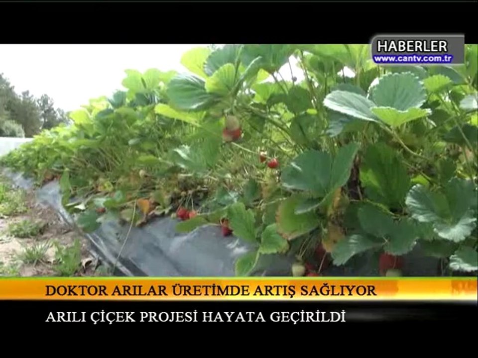 09.06.2014.CAN TV24 HABER