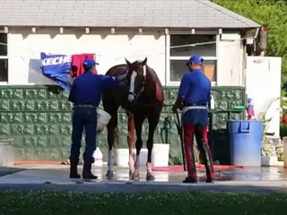 Can California Chrome make history at the Belmont?