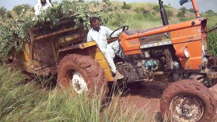Sufi Arif Driving Fiat 480, & Fiat in action