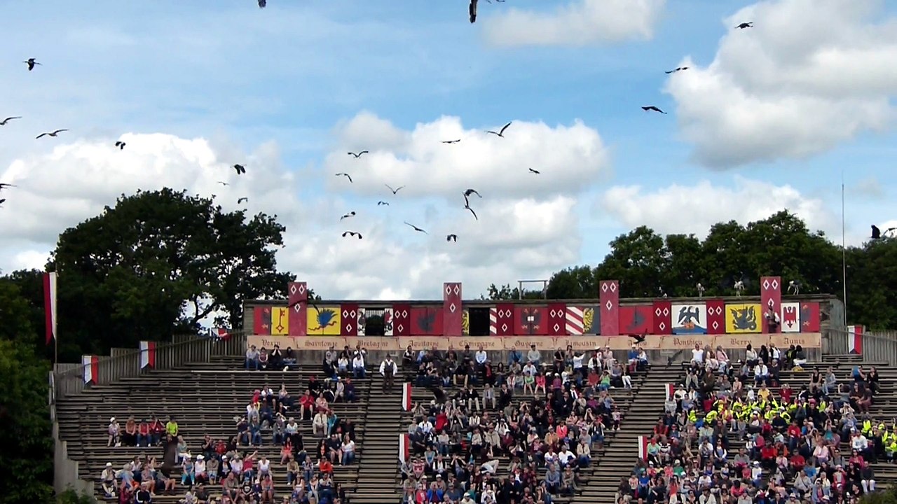 les oiseaux 05-06-2014