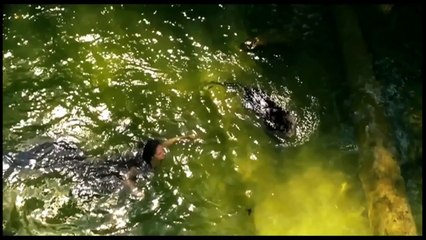 EDWARD MAYA Video - Mono in love HD The Best Song 2013 (Beautiful accordion)