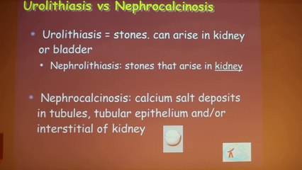 Pediatric Genitourinary Emergencies - Michalle Soudack - Tuesday 28th January 2014 - Part 1