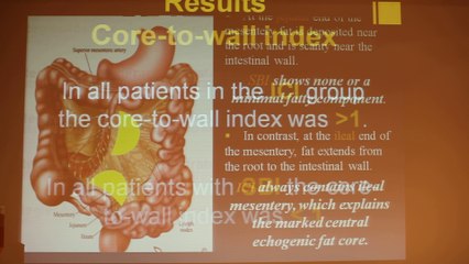 Pediatric GI Obstruction - Natalia Simanovsky - Tuesday 28th January - Part 2