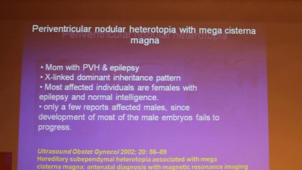 Prenatal MRI In The Diagnosis Of Malformations Of Cortical Development - Liat Ben Sira - Tuesday 28th January - Part 2