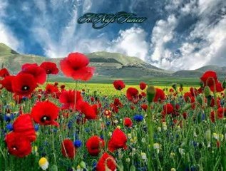 Selma SAĞBAŞ-Gayrıdan Bulmaz Tesellî Sevdiğim