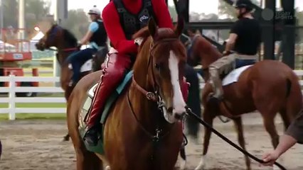 Cal Chrome Doesn't Win Triple Crown