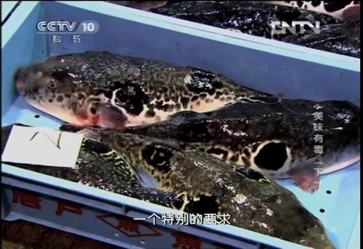 走近科学 《走近科学》 20130219 美味有毒（下）