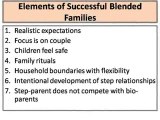 The Complex Dynamics of Blended Families final