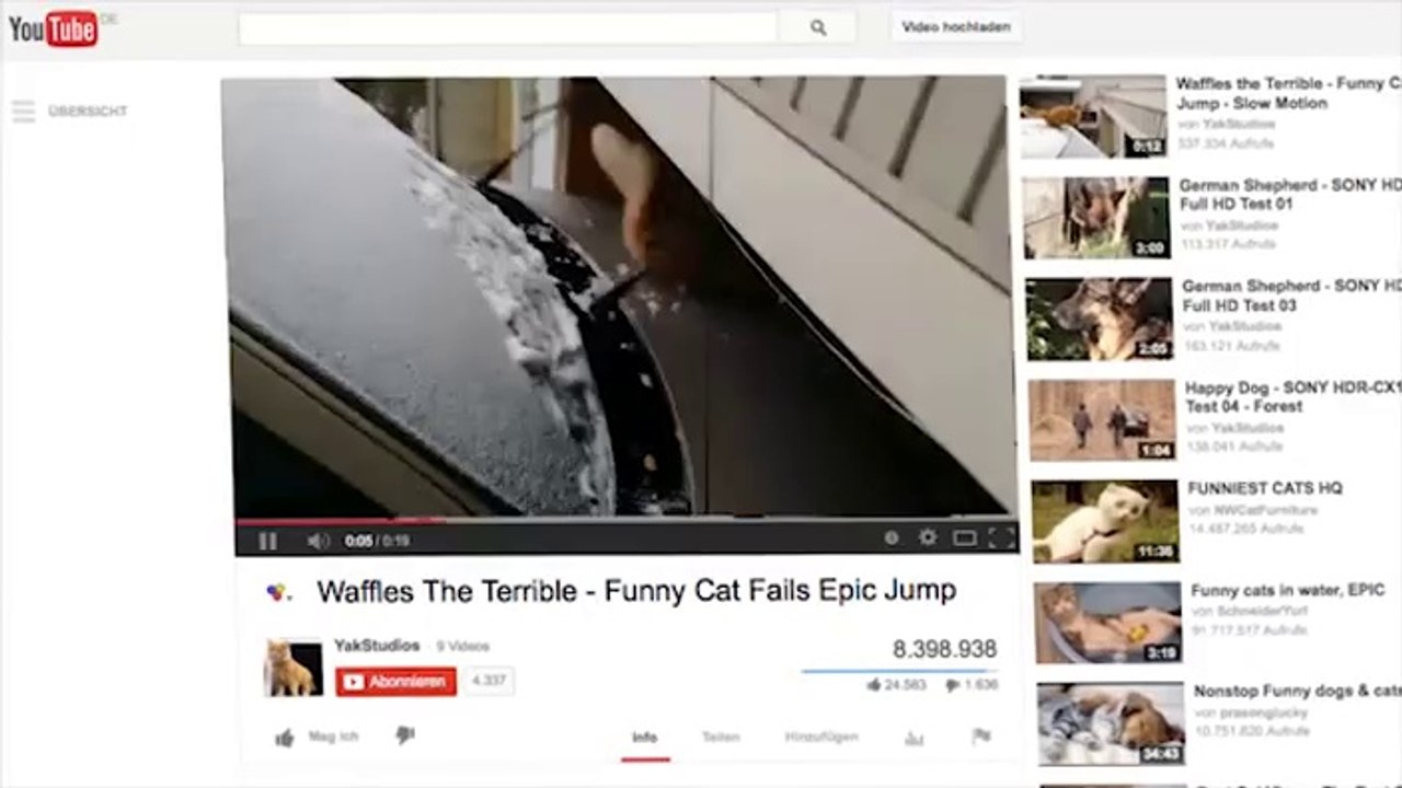 Sprung von Katze geht daneben - www.wegschmeiss.de