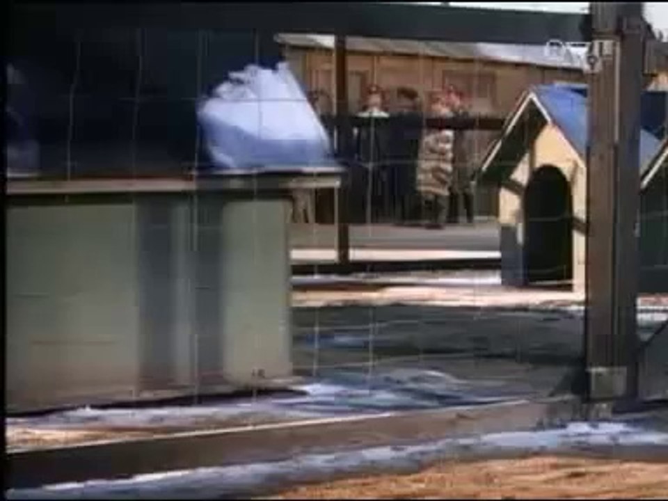 Generique Papa Schultz [Bonne qualité, grande taille]~1