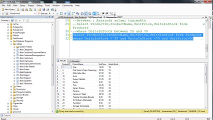 T-SQL LIKE BETWEEN AND OR IN NULL Kullanimi