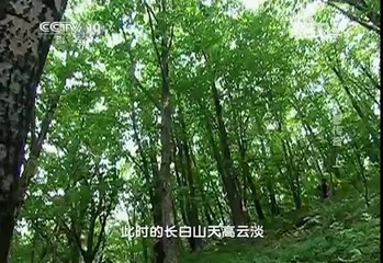 20140121 走近科学 人参传奇（上）