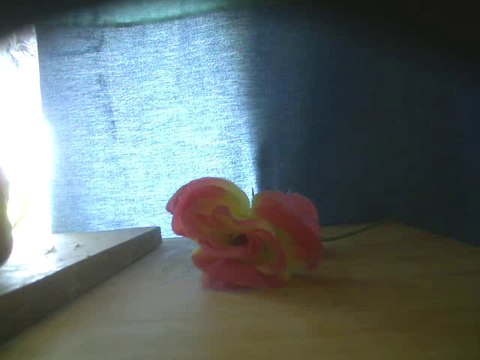 Je t'attends (guitare, chant, harmonica)