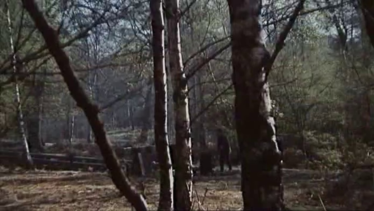 Fahrenheit 451 (François Truffaut) 1966