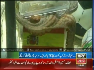 FIFA predictions by Panda and elephant