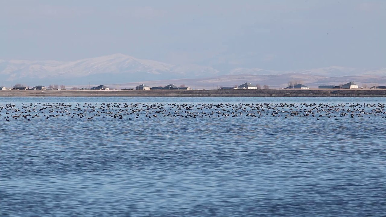 Arin gölü Adilcevaz BA 2014.03.19 BA 1082
