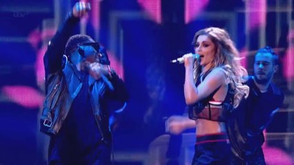 Amor louco e estúpido - CC