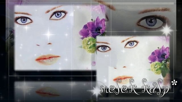 Zülfü Livaneli - Sevda Değil