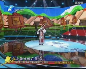 梨园春 dm 擂响中国总决赛 20140209