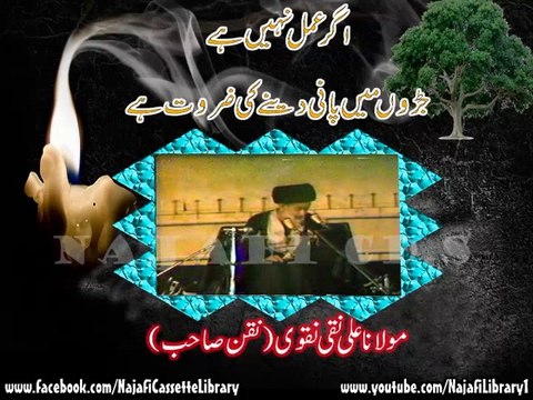 Agar Amal Nahi Hai To Jaroh Main Pani Dany Ki Zarorat Ha - Maulana Ali Naqi Naqvi (Naqan Sahab)