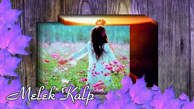 Zerrin Özer - Ben seni sevmeyi sevdim